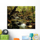 Babbling Brook Wall Mural