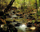 Babbling Brook Wall Mural