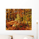 Autumn Trees Wall Mural