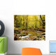 Forest With Creek Flowing Through It Wall Mural