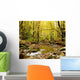 Forest With Creek Flowing Through It Wall Mural