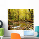 Forest With Creek Flowing Through It Wall Mural