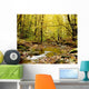 Forest With Creek Flowing Through It Wall Mural