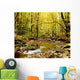 Forest With Creek Flowing Through It Wall Mural