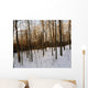 Snowy Forest Wall Mural