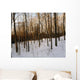 Snowy Forest Wall Mural