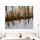 Snowy Forest Wall Mural