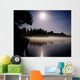 Moonlight On Misty Lake Wall Mural