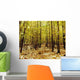 Autumn Trees Wall Mural