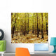 Autumn Trees Wall Mural