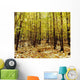 Autumn Trees Wall Mural