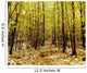 Autumn Trees Wall Mural