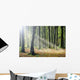 Autumn Light Wall Decal