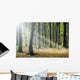 Autumn Light Wall Decal