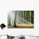 Autumn Light Wall Decal
