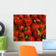 Strawberries Wall Mural