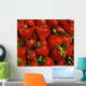 Strawberries Wall Mural