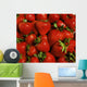 Strawberries Wall Mural