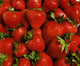 Strawberries Wall Mural