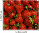 Strawberries Wall Mural