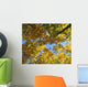 Autumn Tree Branches Low Angle Wall Mural