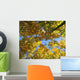 Autumn Tree Branches Low Angle Wall Mural
