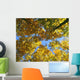 Autumn Tree Branches Low Angle Wall Mural
