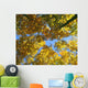 Autumn Tree Branches Low Angle Wall Mural