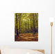 Forest In Quebec, Canada Wall Mural
