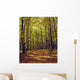 Forest In Quebec, Canada Wall Mural