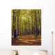 Forest In Quebec, Canada Wall Mural