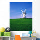 Ballycopeland Windmill, Millisle, County Down, Ireland Wall Mural