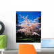 Tree In Blossom Wall Mural