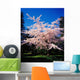 Tree In Blossom Wall Mural