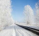 Winter Road Wall Decal Design 2