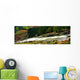Glenmacnass Waterfall, Co Wicklow, Ireland Wall Mural