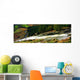 Glenmacnass Waterfall, Co Wicklow, Ireland Wall Mural