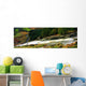 Glenmacnass Waterfall, Co Wicklow, Ireland Wall Mural