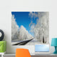 Winter Road Sunny Frosty Wall Decal