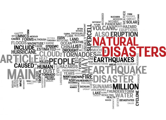 Natural Disaster Wall Decal