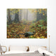 Shenandoah National Park In Virginia Wall Mural