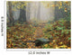 Shenandoah National Park In Virginia Wall Mural