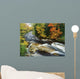 Stream Flowing Through Forest In Vermont, Usa Wall Mural