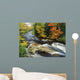 Stream Flowing Through Forest In Vermont, Usa Wall Mural