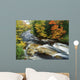 Stream Flowing Through Forest In Vermont, Usa Wall Mural
