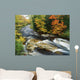 Stream Flowing Through Forest In Vermont, Usa Wall Mural