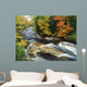 Stream Flowing Through Forest In Vermont, Usa Wall Mural