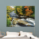 Stream Flowing Through Forest In Vermont, Usa Wall Mural