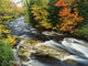 Stream Flowing Through Forest In Vermont, Usa Wall Mural
