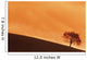 Tree At Dusk In The Black Forest, Germany Wall Mural